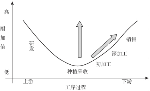 云南咖啡供应链现状与运营管理创新